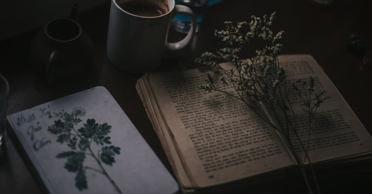 Are songs considered poetry?