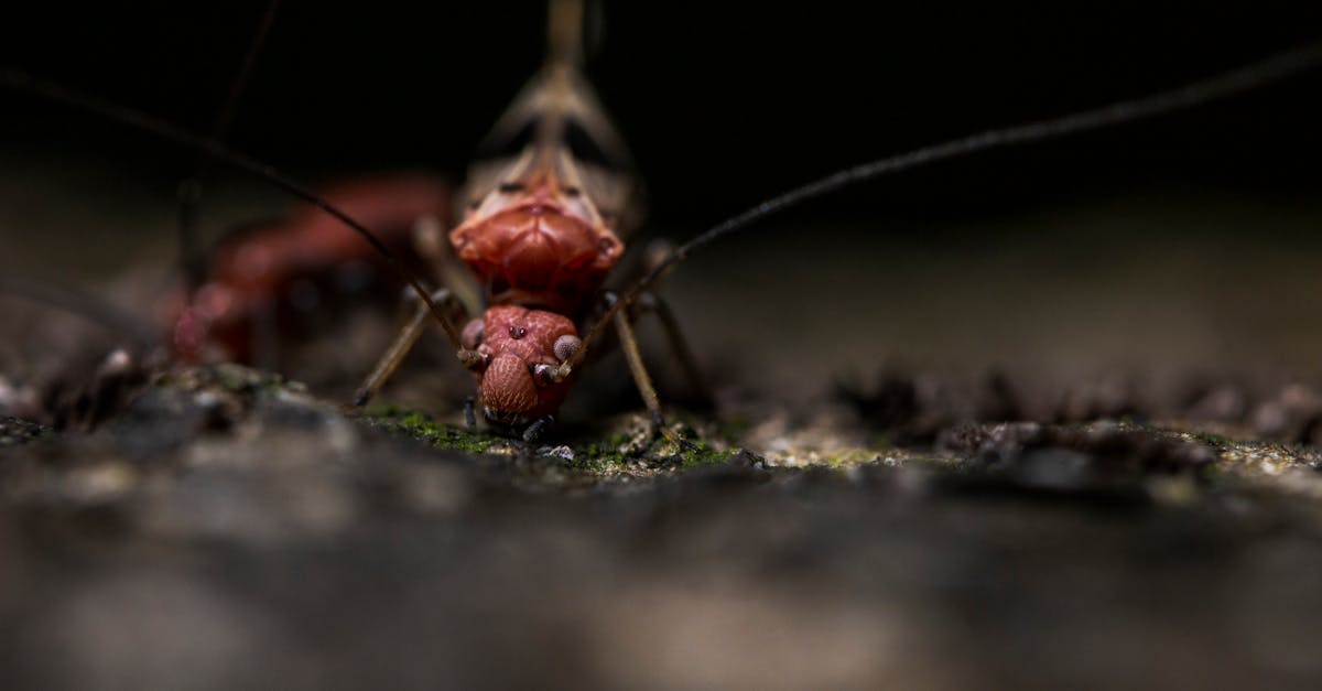 Horribly Synonyms and Example Sentences